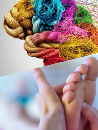 Un passo verso la mente